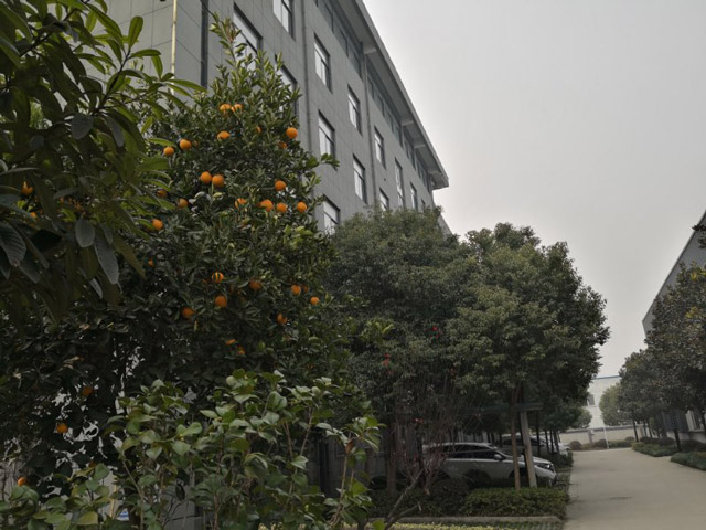 廠區環境（jìng）